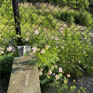 Meet your Posher, Gabriela